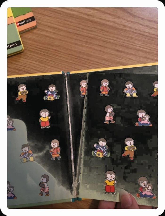 Livres t’choupi - photo numéro 6