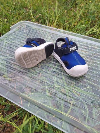 Chaussure puma 