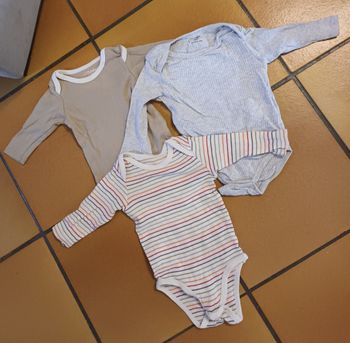 Lot de 5 bodies 6 mois manche longue