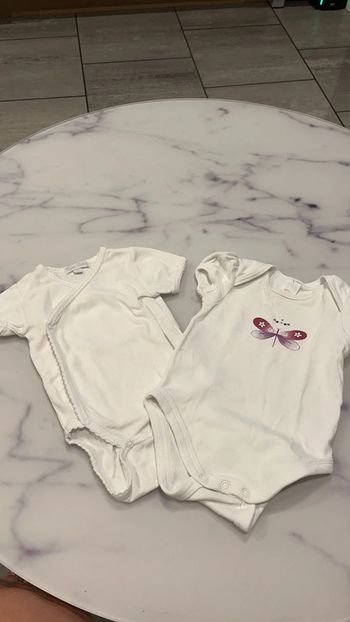 Lot de 2 bodies manches courtes