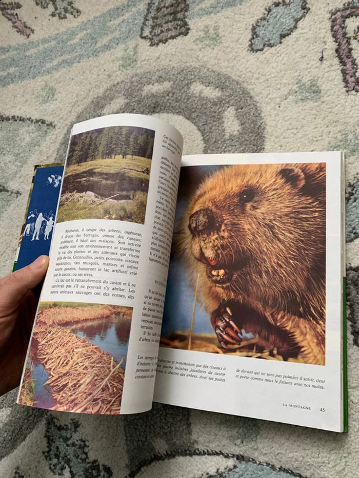 Le monde enchantée de Walt Disney - Secrets de la Nature - photo numéro 5