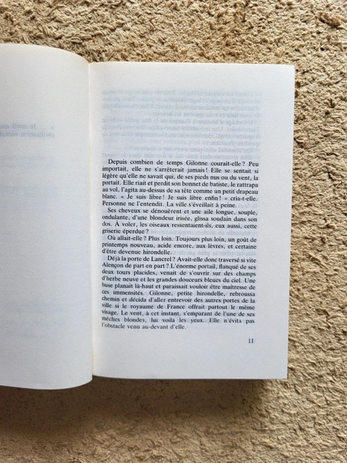 Livre relié "La dentellière d'Alençon", un roman historique de Janine Montupet - photo numéro 6