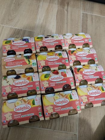 Lot de 12 petits pots de compotes bio bébé babybio