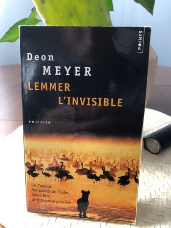 Lemmer l’invisible - Deon Meyer 