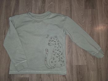 Pull 8 ans