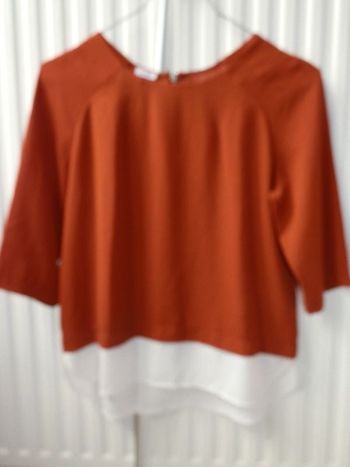 Blouse manches 3/4 rouille