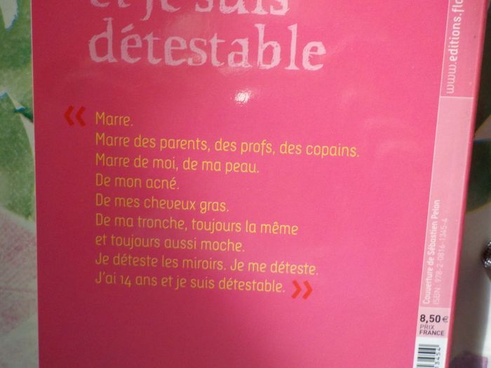 J AI 14 ANS ET JE SUIS DETESTABLE de GUDULE Ed. Flammarion - photo numéro 2