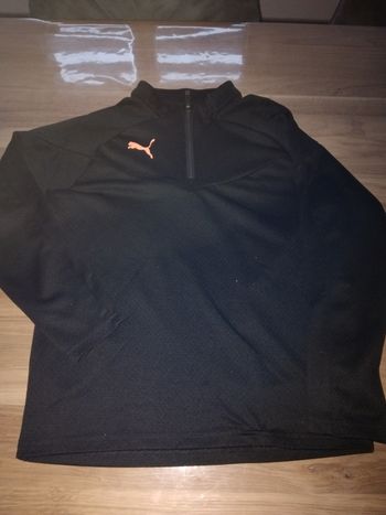 Polo puma