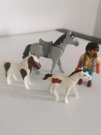 Playmobil lot animaux personnage cheval poney poulain cavalière écuyere