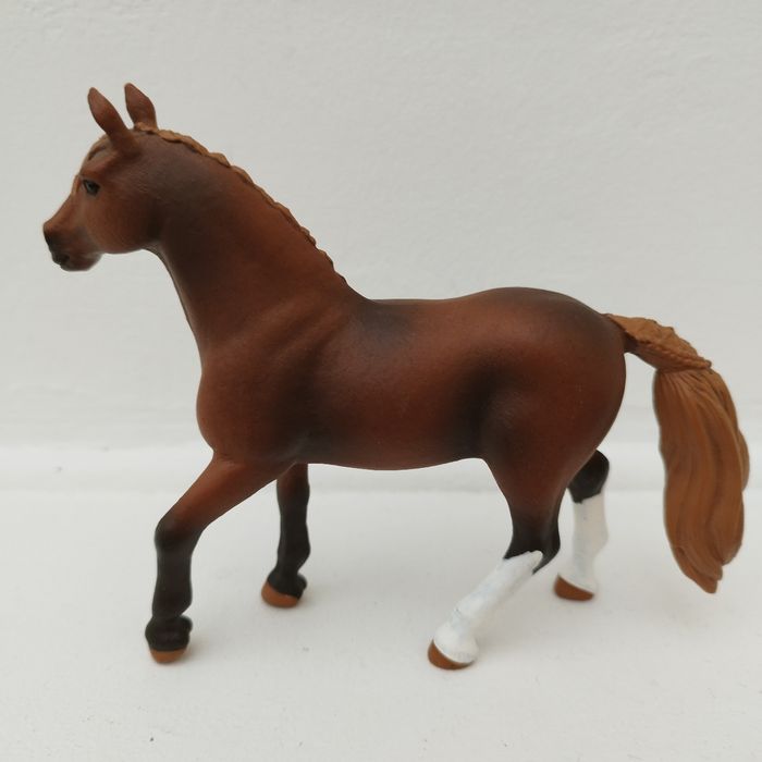 Jument paso péruvien - photo numéro 4