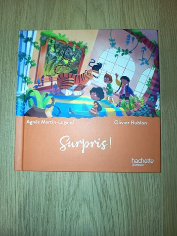 Livre album enfant Mac Do, Surpris !, Éditions Hachette Jeunesse NEUF