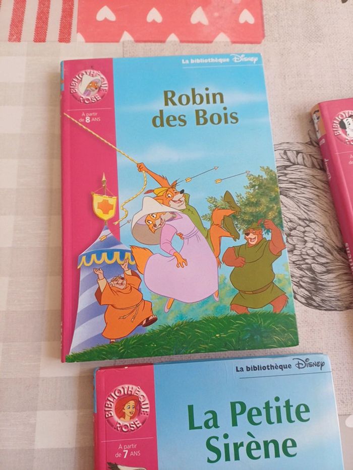 Lot livres - photo numéro 4