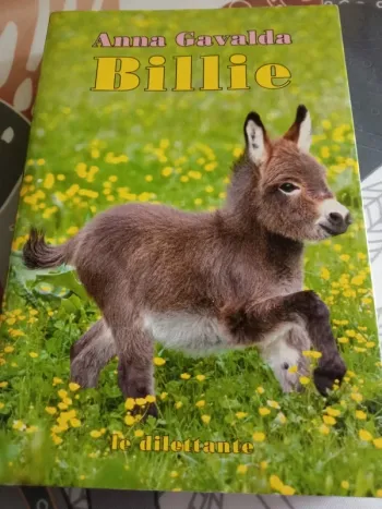 Livre Billie