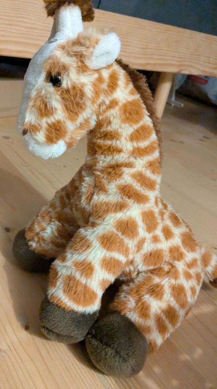 Girafe atmosphera - photo numéro 2