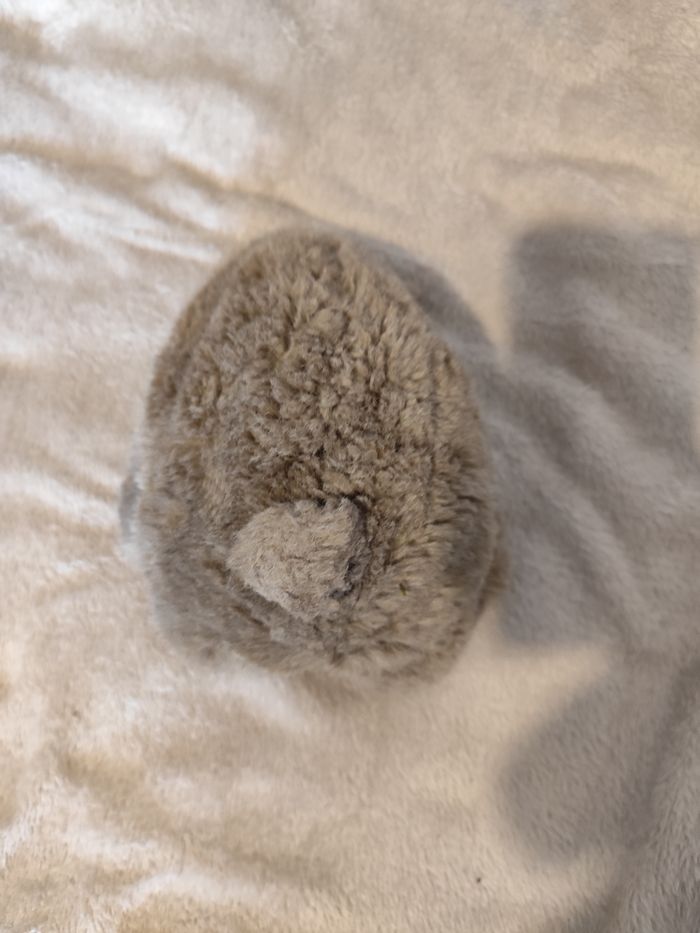 Peluche koala - photo numéro 4