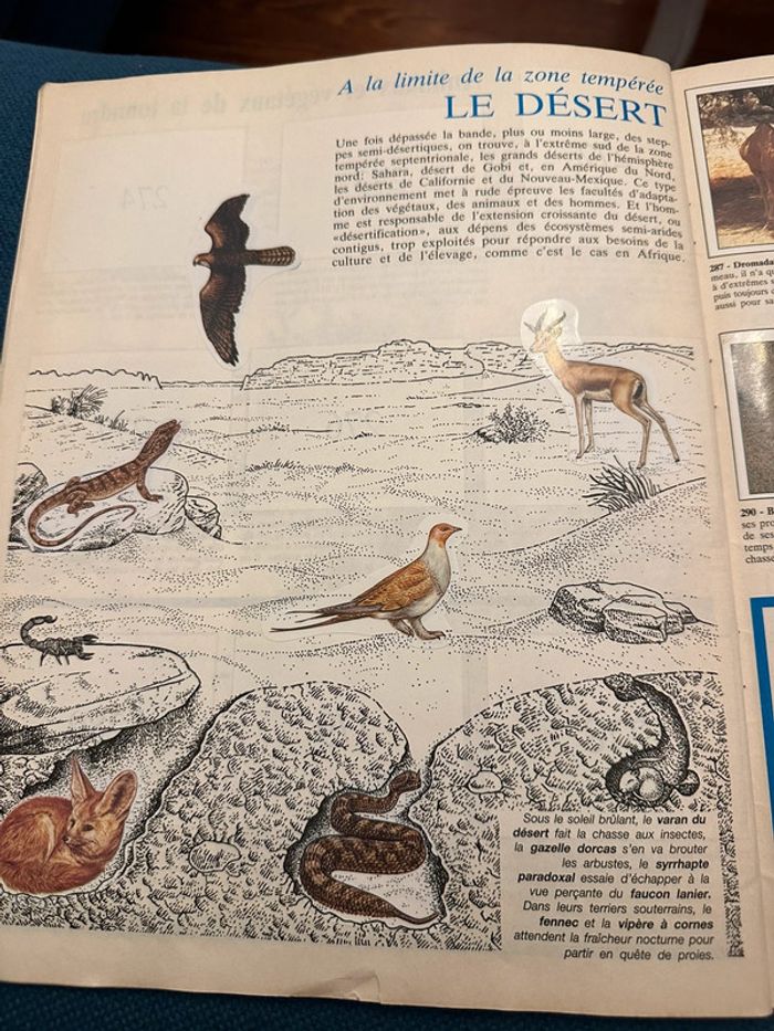 Album Panini complet WWF Nature en danger fonds mondial pour la nature stickers autocollants livre - photo numéro 11