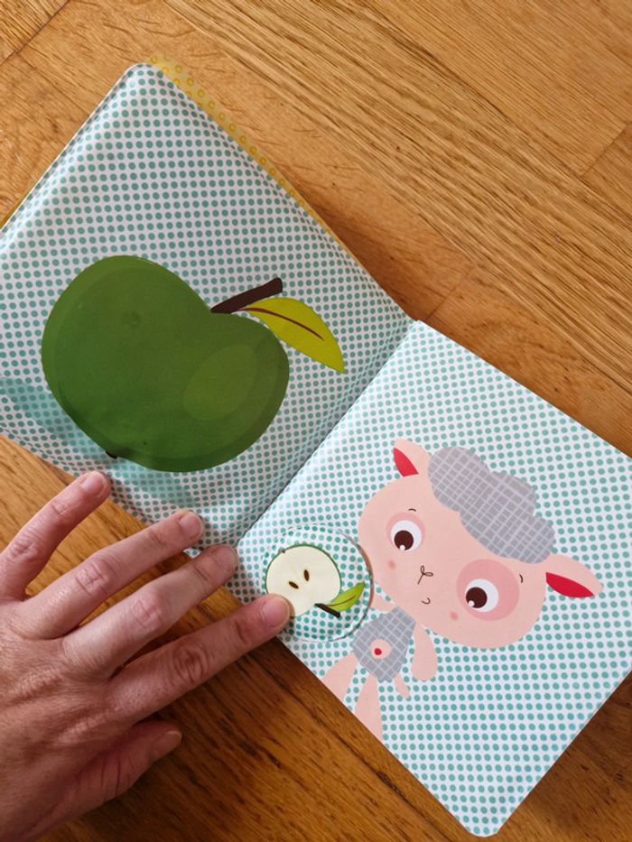 Livre ludi - photo numéro 7