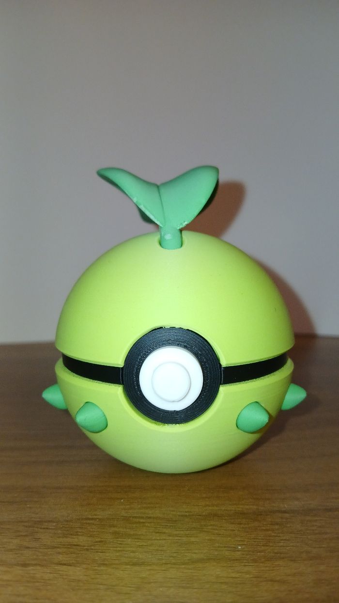 Pokeball Germignon
