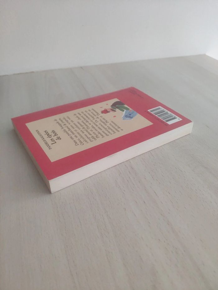 Livre poche jeunesse les épées de bois Kaliotsos humour castor - photo numéro 6