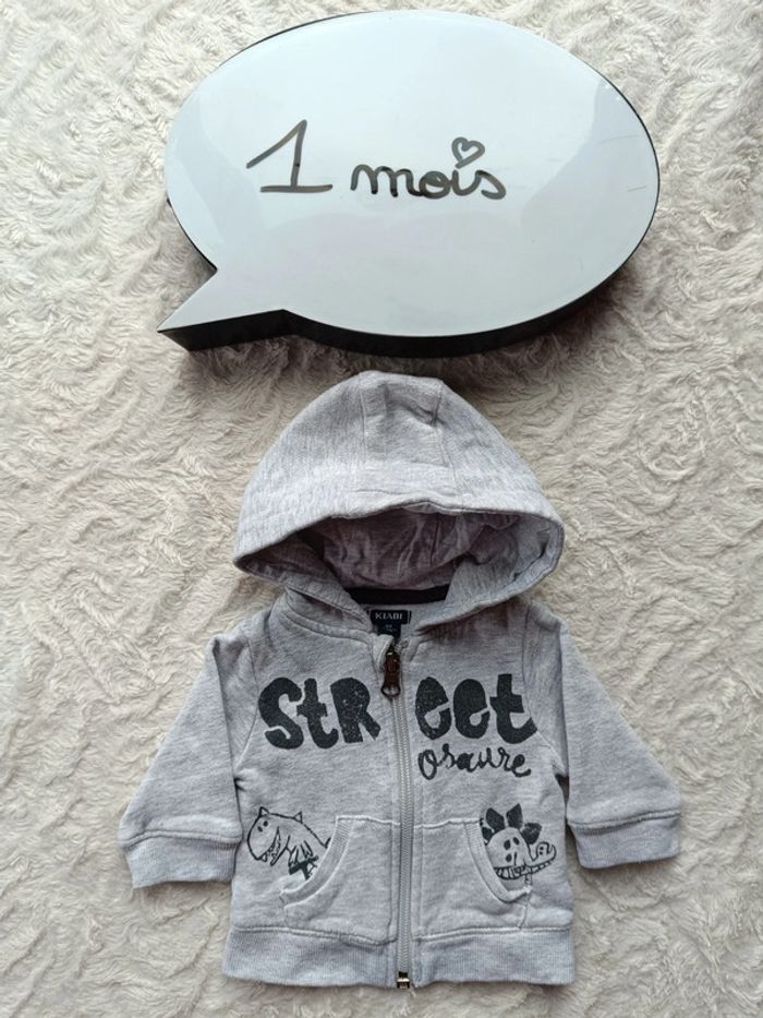 Gilet veste zippée avec capuche Garçon 1 mois streetosaure Dinosaure Kiabi