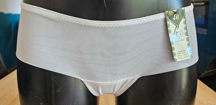 Lot de 4 culottes blanche lingerie land