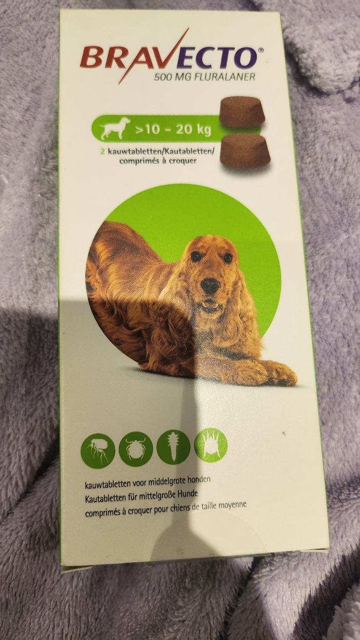 Bravecto anti -puce