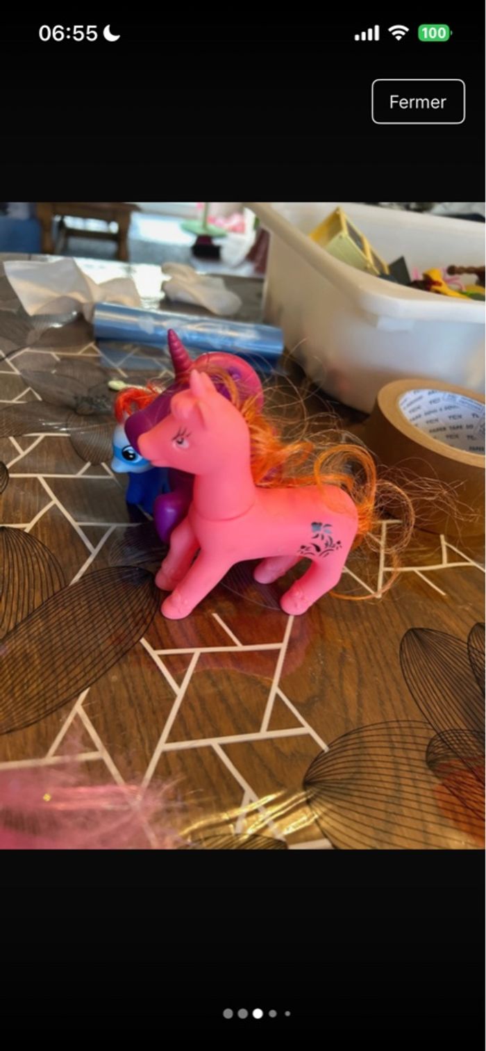 Poneys - photo numéro 3