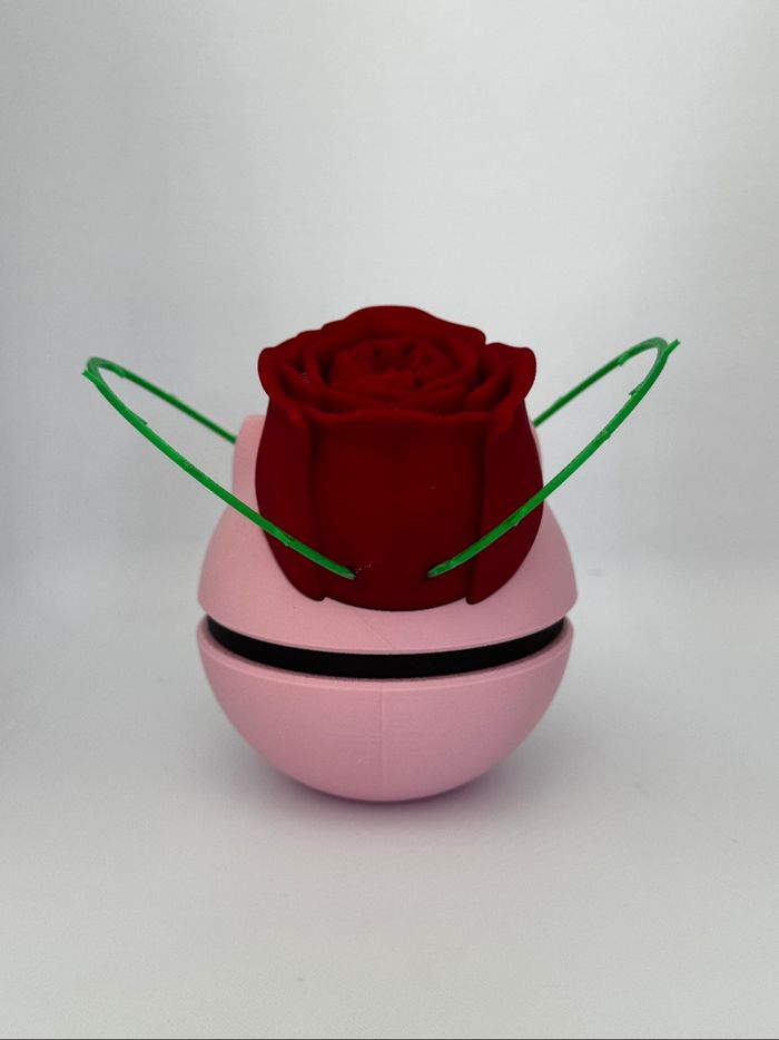 Pokeball bulbizard rose - photo numéro 3