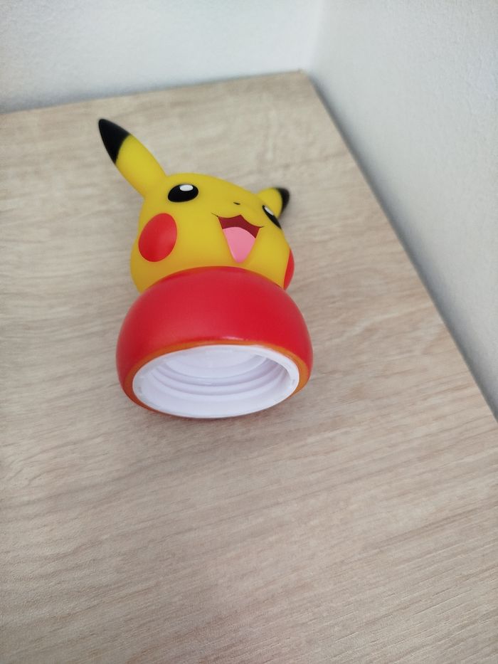 Gourde - photo numéro 3