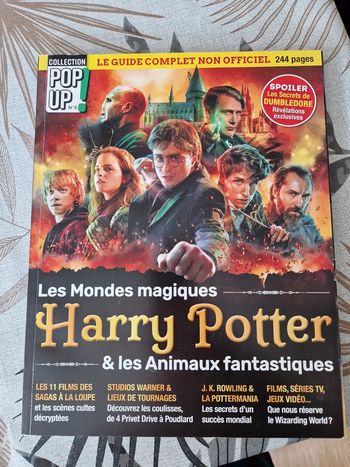 Magazine pop up numéro 8 harry potter