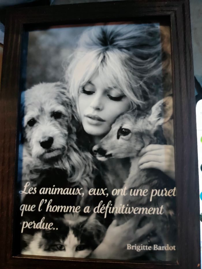 Cadre photo Brigitte bardot