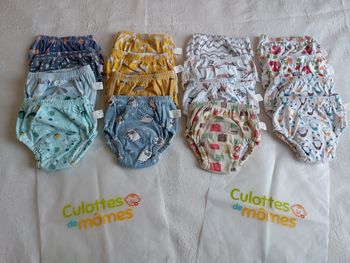 Culottes d'apprentissage : en lot ou à l'unité