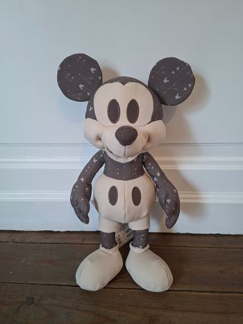 Mickey novembre 