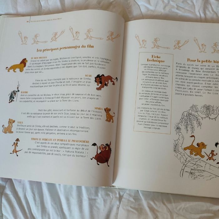 Livré les plus beaux dessins animés de Disney - photo numéro 6