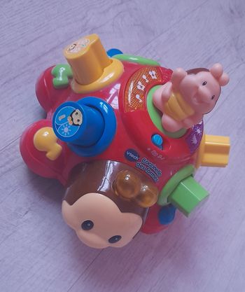 Coccinelle des formes