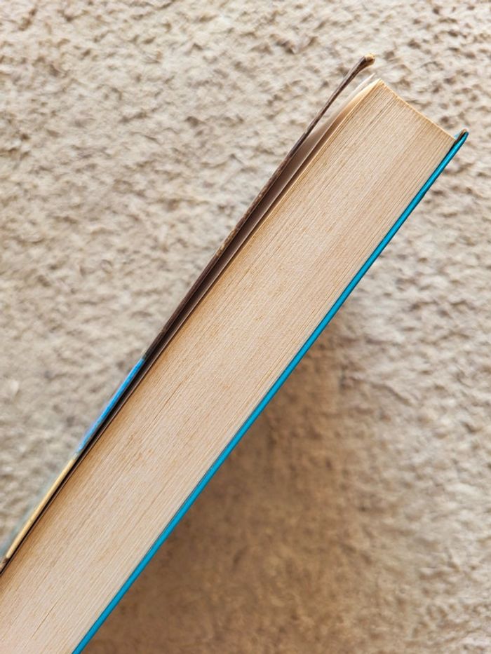 Livre Les 9 vies d’Edward de Chrystine Brouillet - photo numéro 3