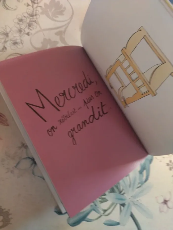 Comment ranger sa chambre en 7 jours seulement - photo numéro 3