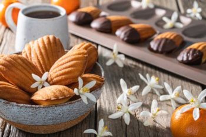 Moule madeleines Guy Demarle - photo numéro 3