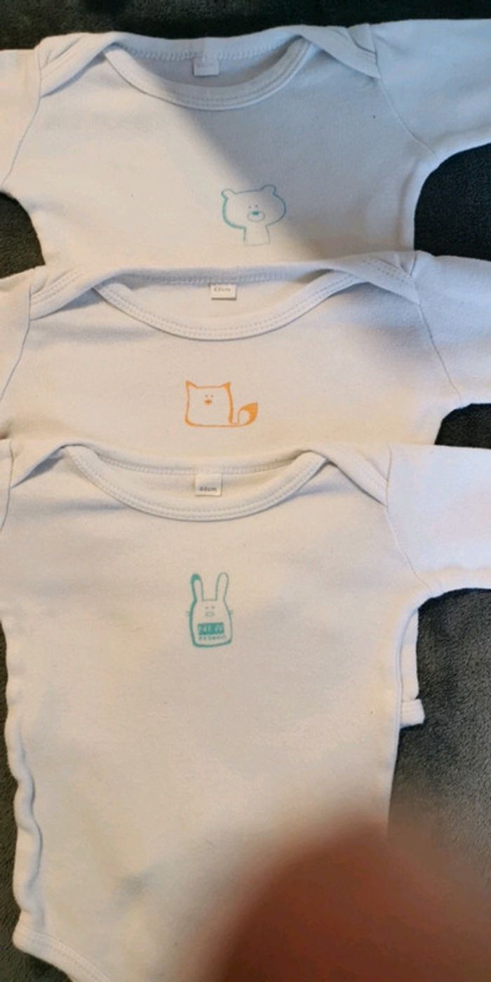 Lot de 3 bodies 6 mois - photo numéro 2