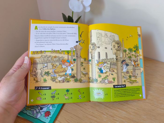 📚 2 livres jeunesse "Cherche & Trouve – Labyrinthes" - Hachette 📚 - photo numéro 7