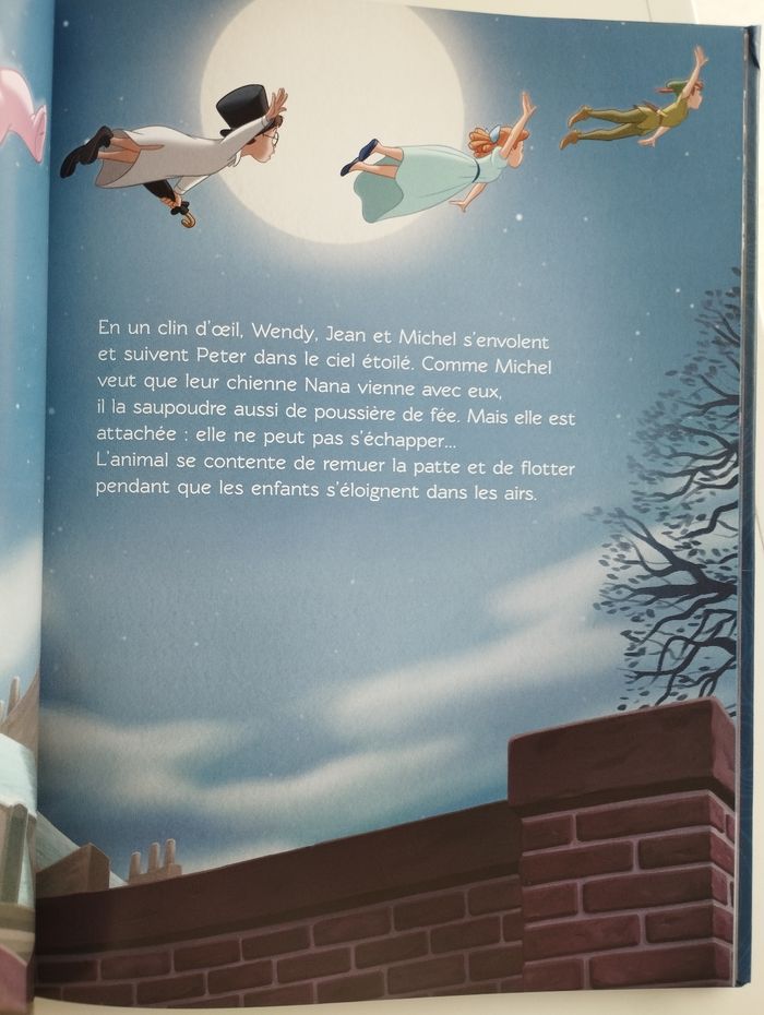 Livre Disney - photo numéro 7