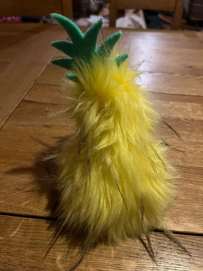 Canard coin-coin ananas - photo numéro 3