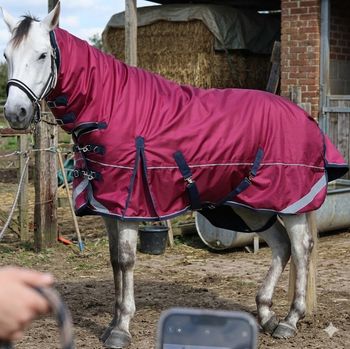 Couverture cheval hiver Gallopoff 1680D 300g + Couvre-cou - 150 cm