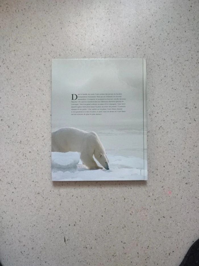 Une ombre sur la glace, l'ours blanc - photo numéro 2