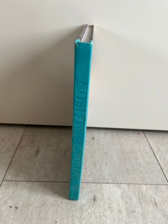 Glace maison - photo numéro 2