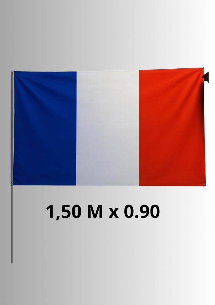 Pack Drapeaux France 1 Grand Format + 2 Mini Drapeaux à Main - photo numéro 2