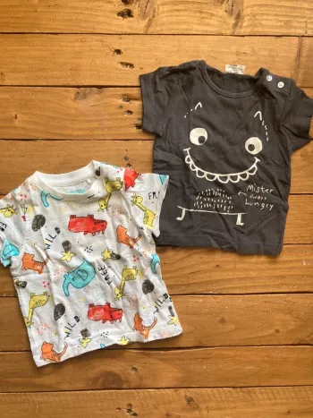 2 tee shirt manches courtes