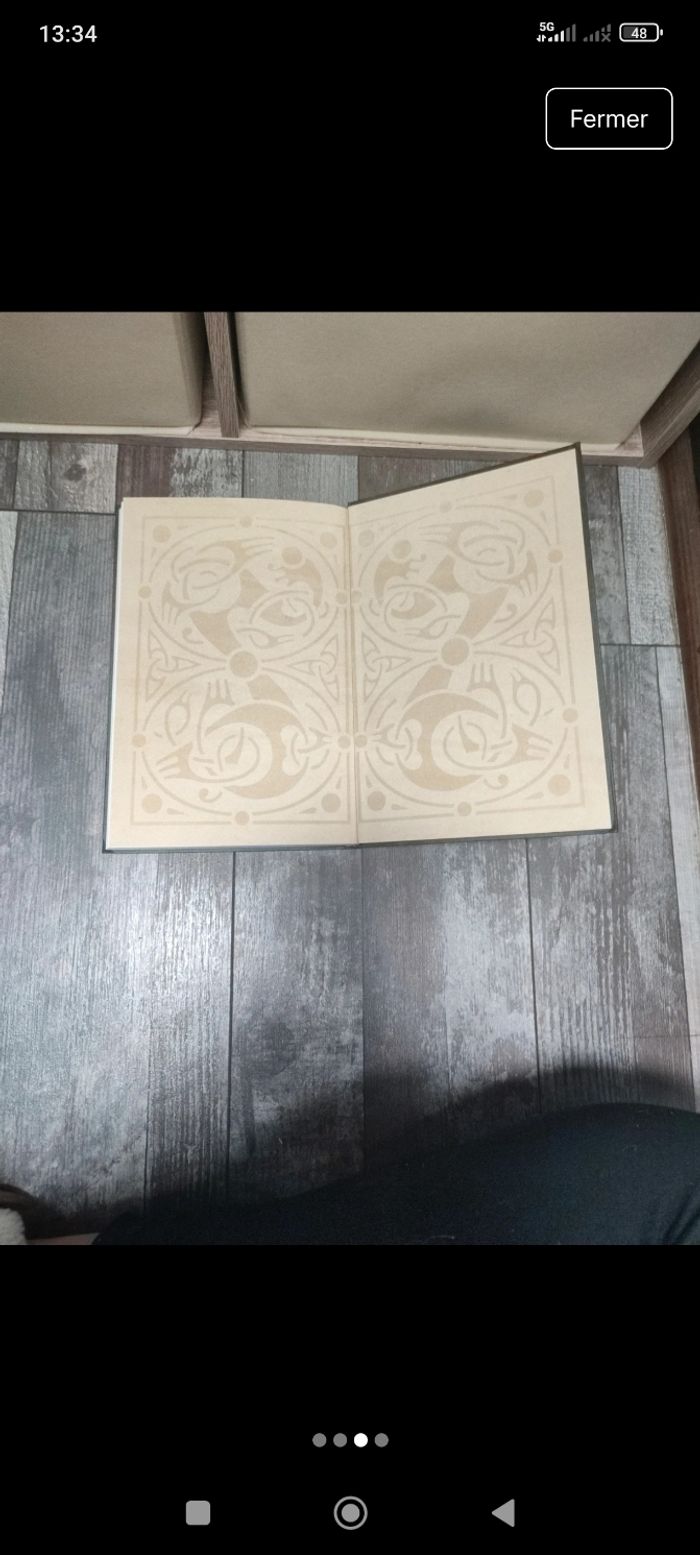 Livre Odin et les neufs mondes - photo numéro 3