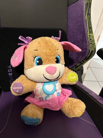 Chien éveil progressif 