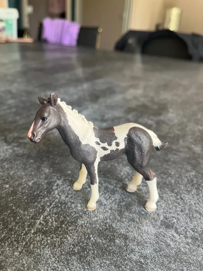 Poulain Pinto schleich